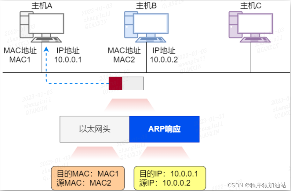 ARP 响应报文