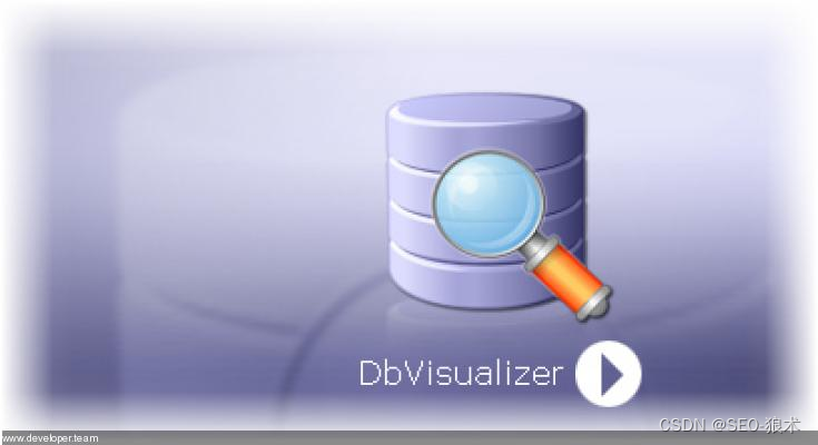 DbVisualizer Pro Crack