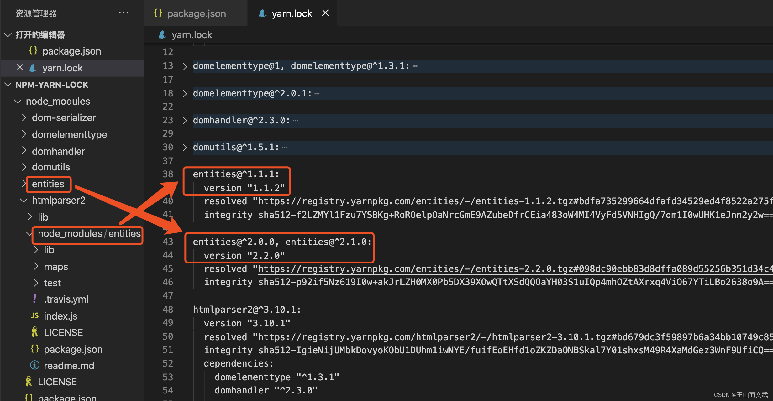 package-lock.json，深度内容