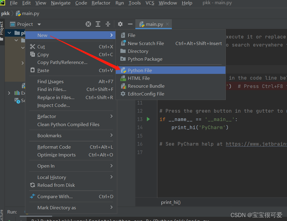 PyCharm的安装以及使用_pycharm add bin to path-CSDN博客