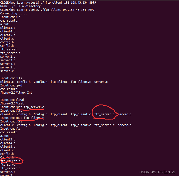 模拟实现FTP服务器（socket套接字实现）_计网模拟仿真实现ftp协议CSDN博客