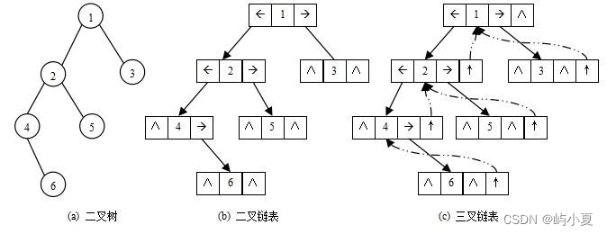 二叉树的概念及存储结构