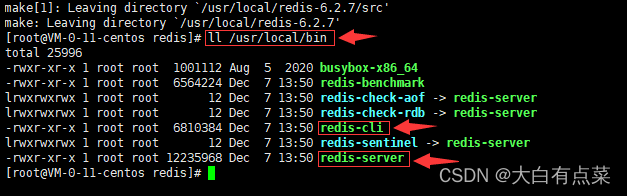 在 /usr/local/bin 目录下编译生成 redis-server 和 redis-cli 可执行文件