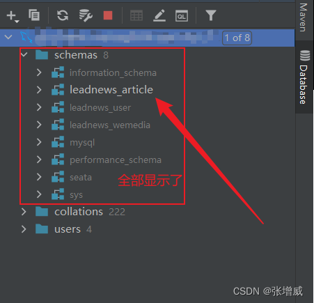 这个是选中的数据库是leadnews_article,但是却显示出来了所有的数据库，让人看着不太舒服，目标就是只让其显示leadnew_article数据库