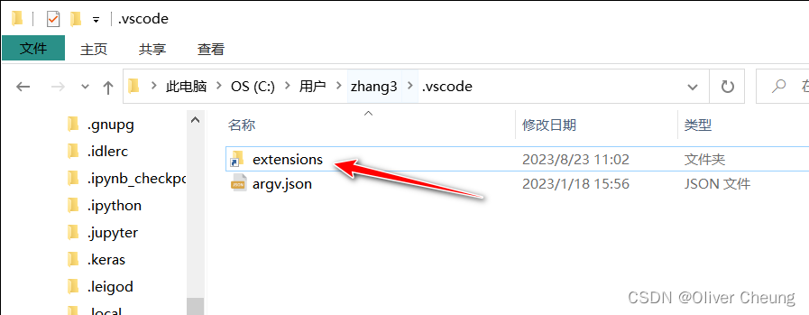 .vscode文件夹