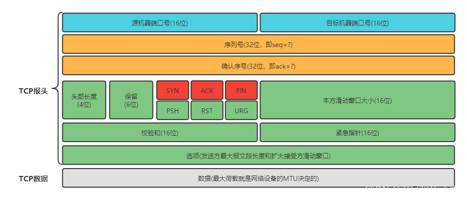 TCP报文格式