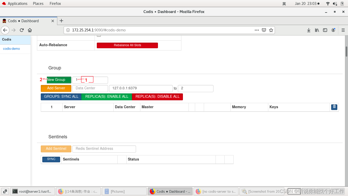 企业运维——Codis部署_codis启动-CSDN博客