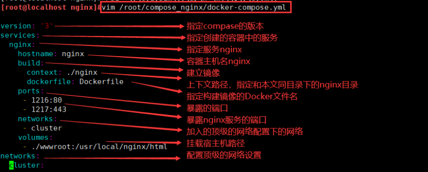 Docker Compose编排