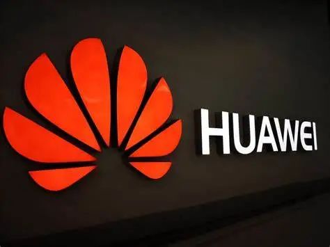 TOP2：深夜发文，大事发生！菊厂萌新的半年挣扎！