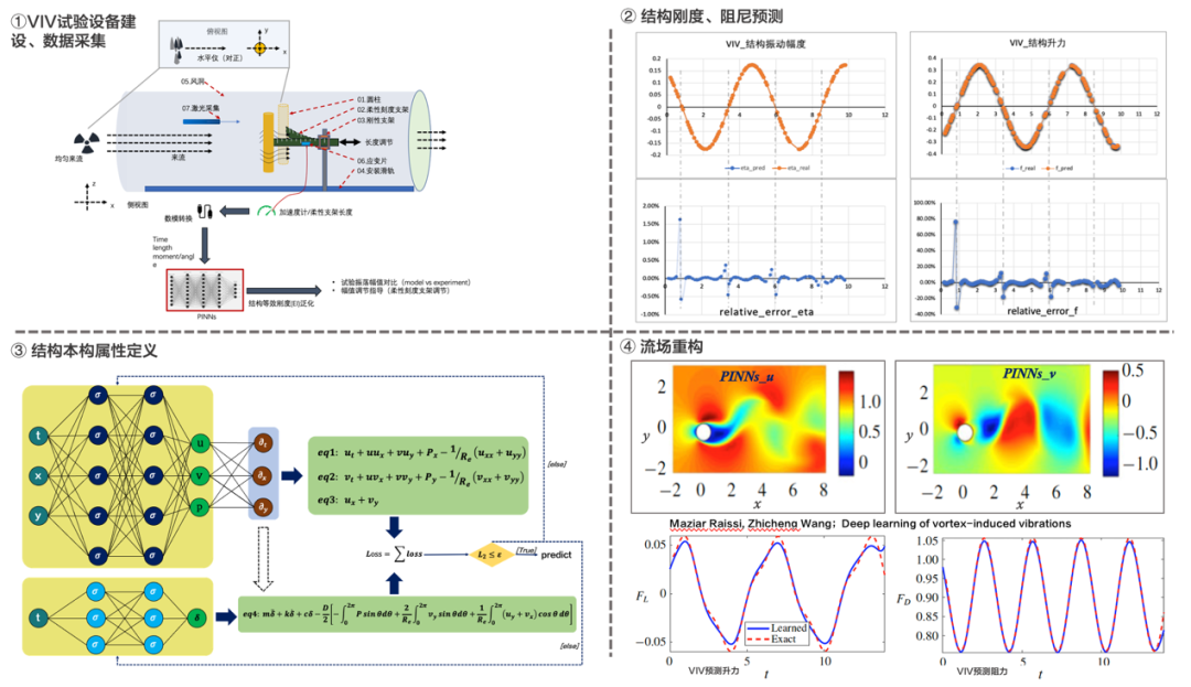 VIV试验及深度学习模型联合验