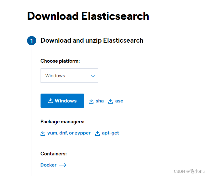 Win10 安装 Elasticsearch_win10 安装elasticsearch 7.15-CSDN博客