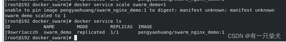 10. Docker Swarm（一）