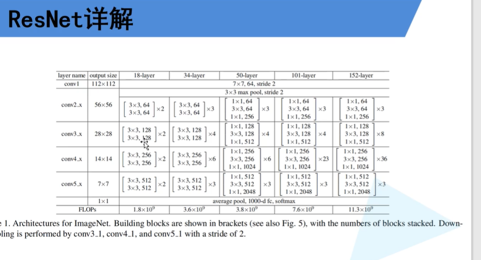 ResNet网络结构_resnet网络架构-CSDN博客