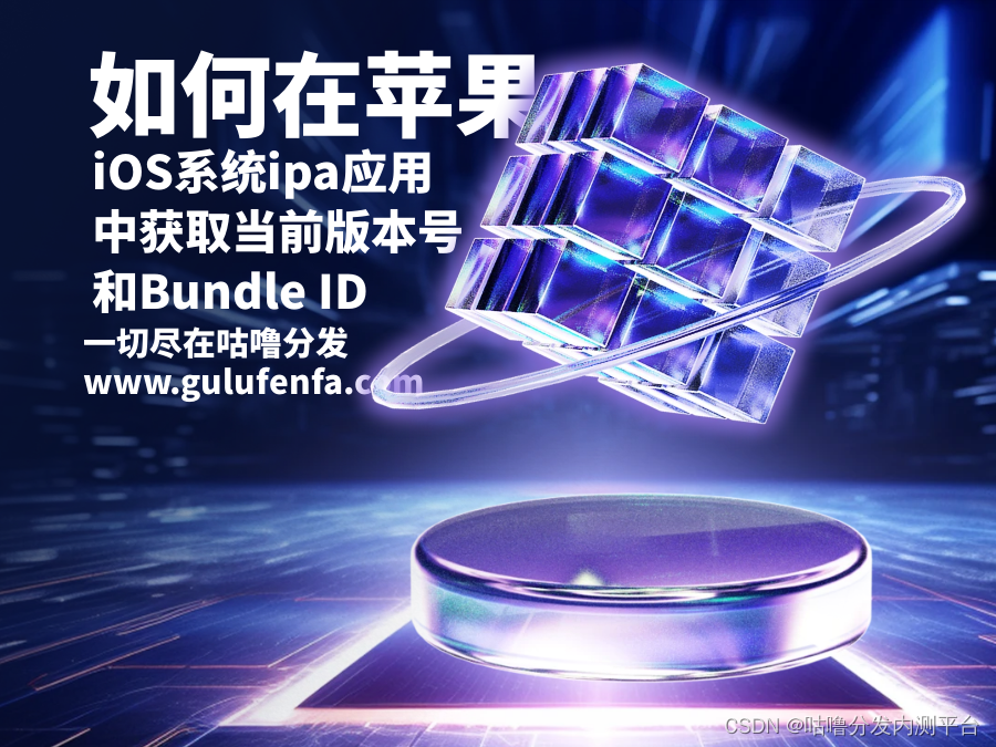 如何在苹果iOS系统ipa应用中获取当前版本号和Bundle ID