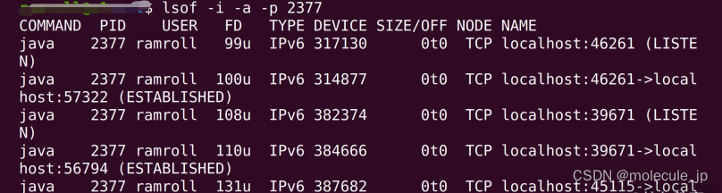 Linux文件系统目录有什么用？