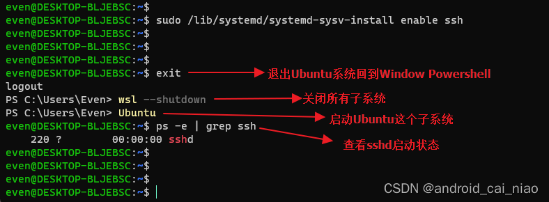 WSL Ubuntu SSH