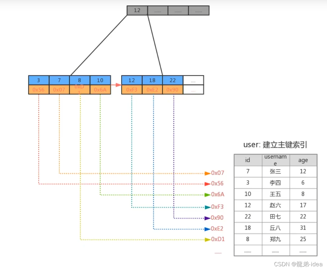 数据结构——【B树与B+树】