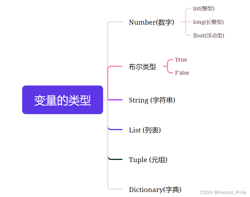 变量的类型