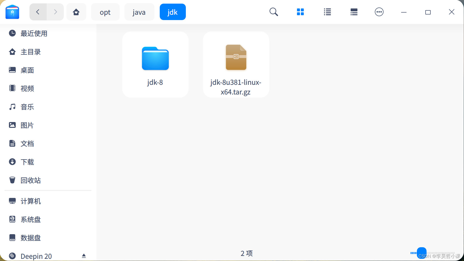 deepin jdk