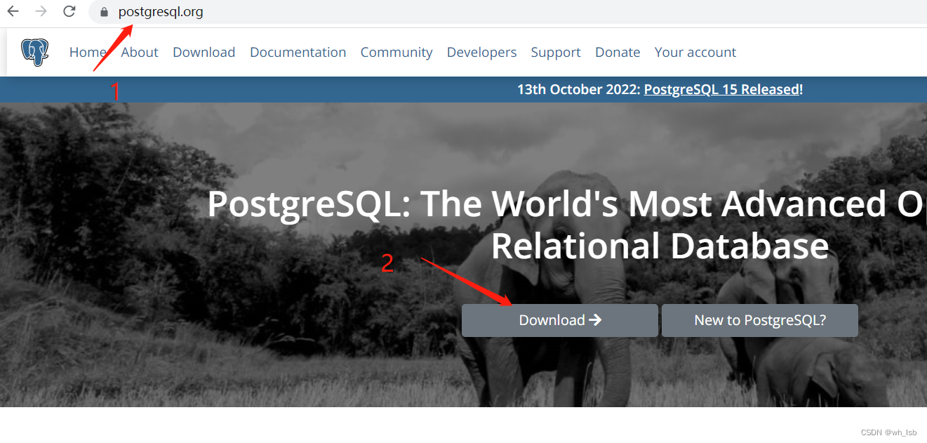 从官网https://www.postgresql.org/下载数据库软件