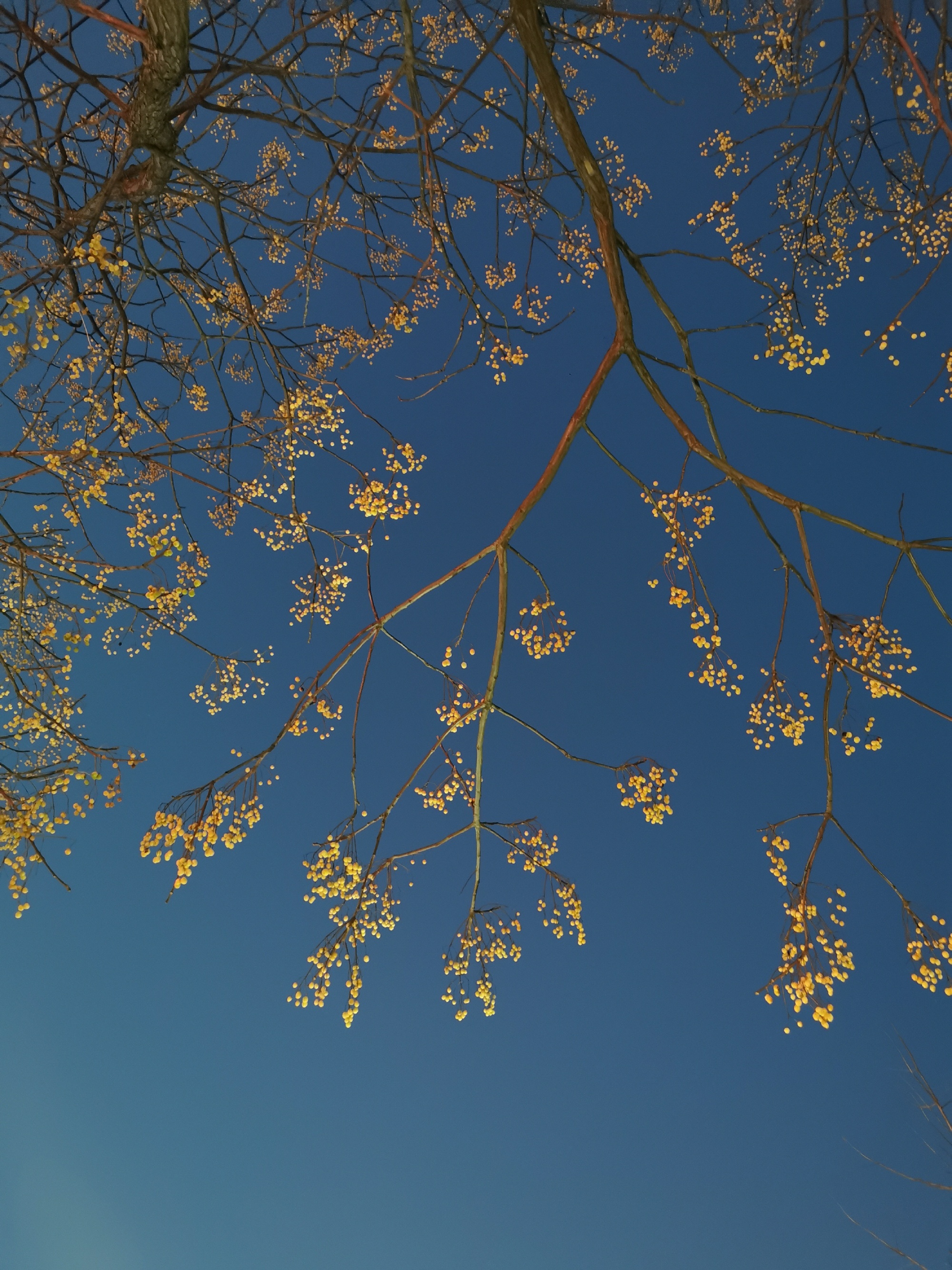 Android Max函数 Csdn Android Max函数 Csdn