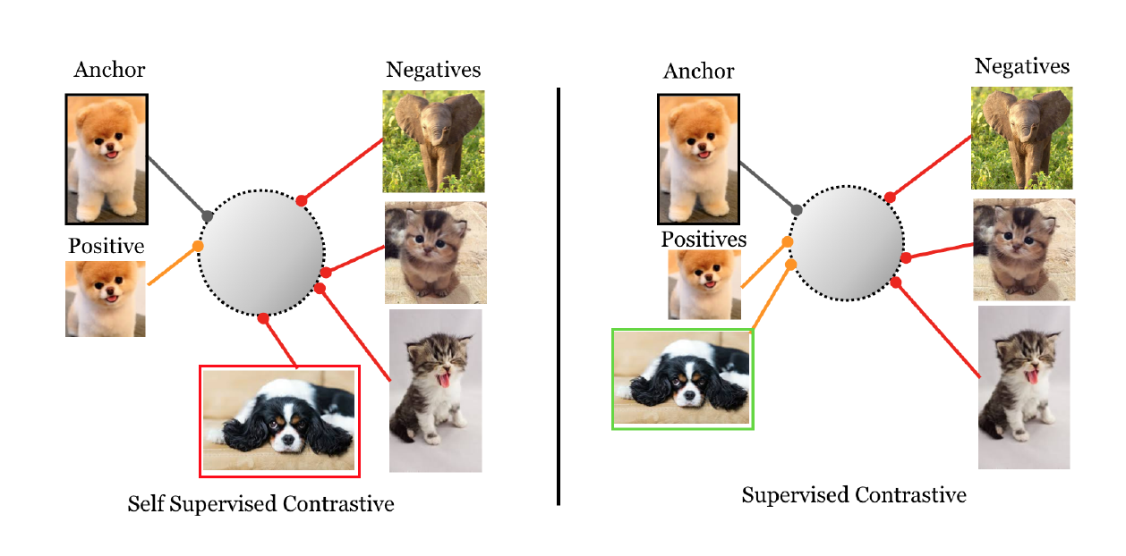 ΪSimCLR，ұΪSupervised Contrastive Learning