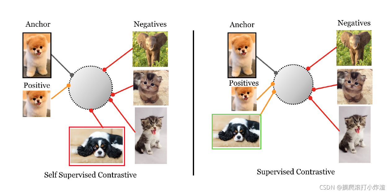 左边为SimCLR,右边为Supervised Contrastive Learning