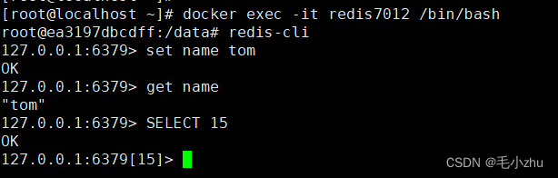 docker 安装 redis