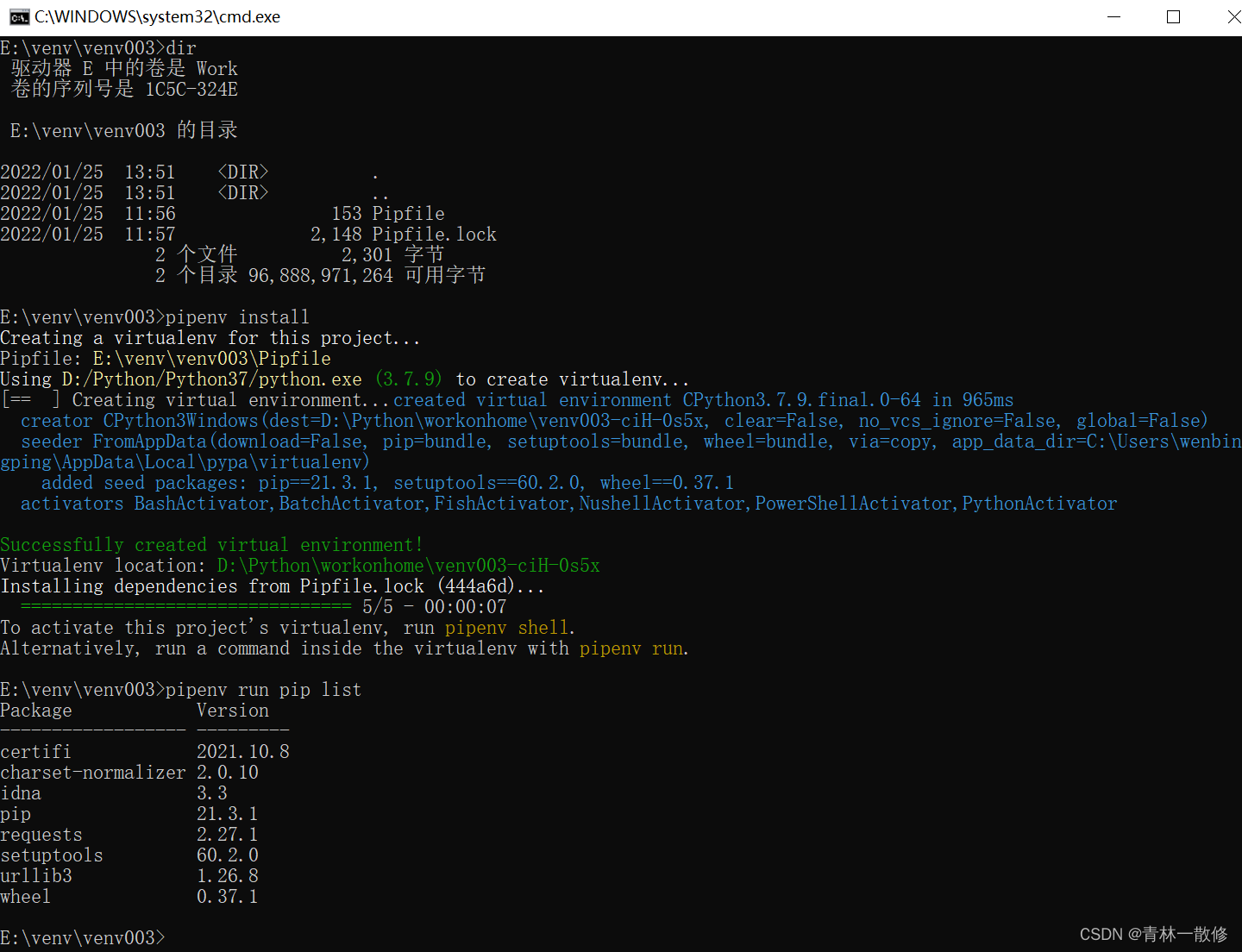 Pipenv If Defined Old Virtual Pythonpath CSDN