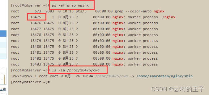 linux查看正在运行的nginx在哪个文件夹当中