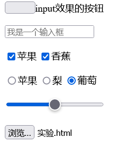 input各种属性的效果图