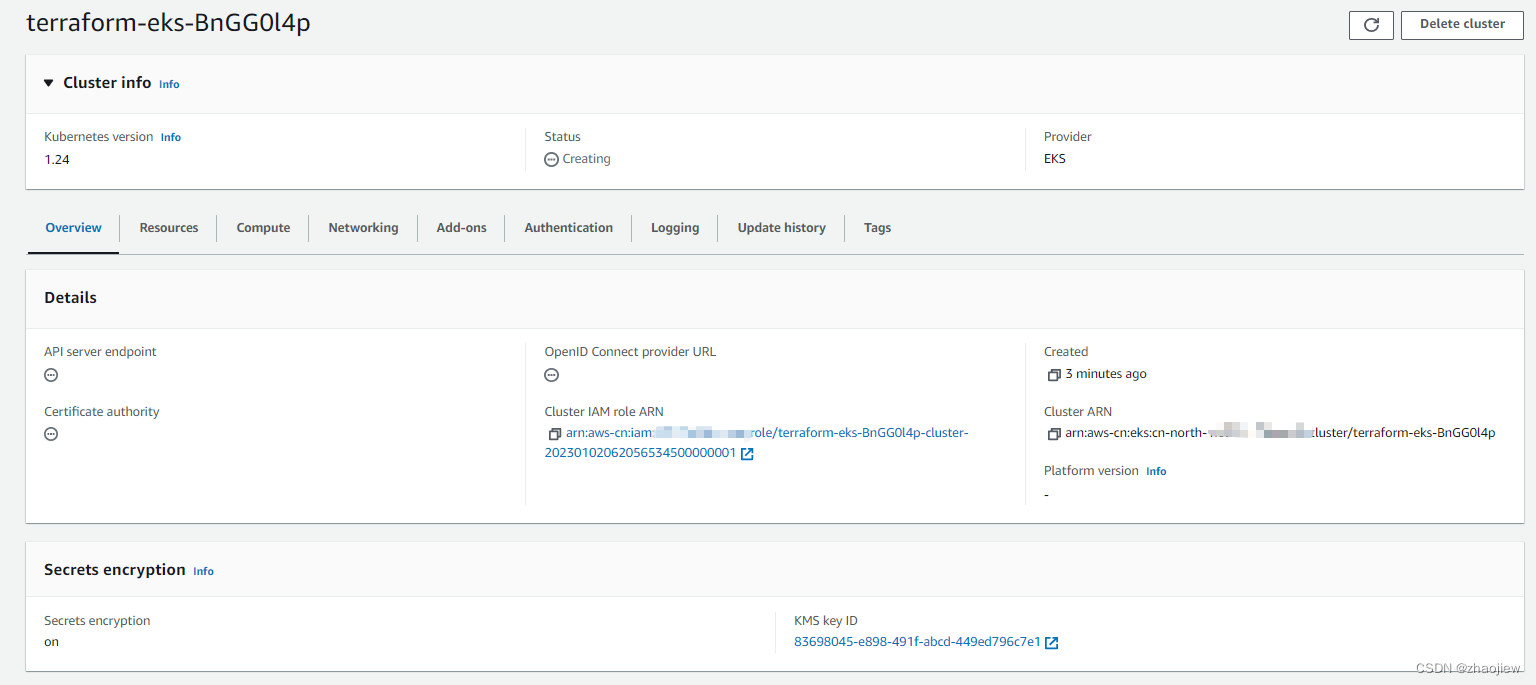 aws eks 理解和使用terrafrom创建eks集群（离线安装provider和module）