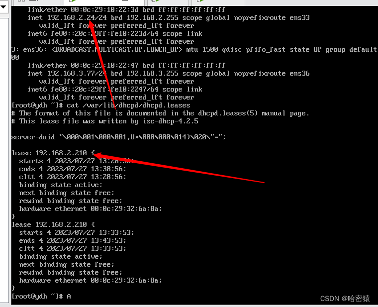 Linux-DHCP安装配置流程