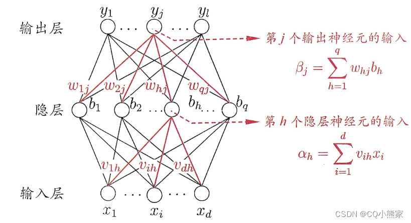 BP网络