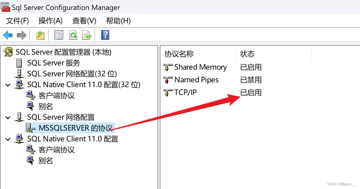 SqlServer_idea连接问题