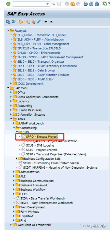 SAP- SD(一) 组成部分、菜单、快捷键、SAP Customizing Implementation Guide_sap-sd-CSDN博客