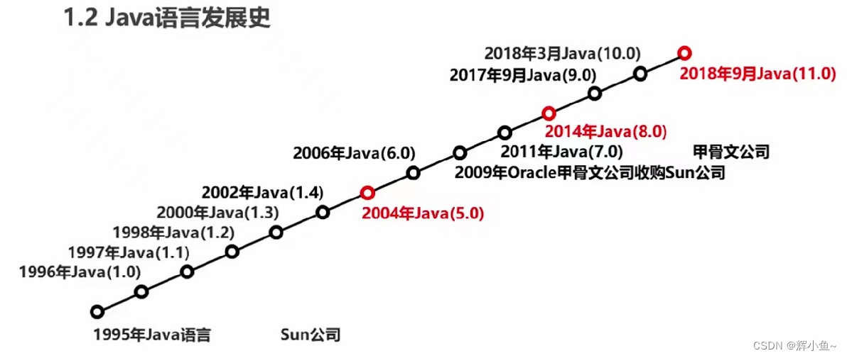 我是猪