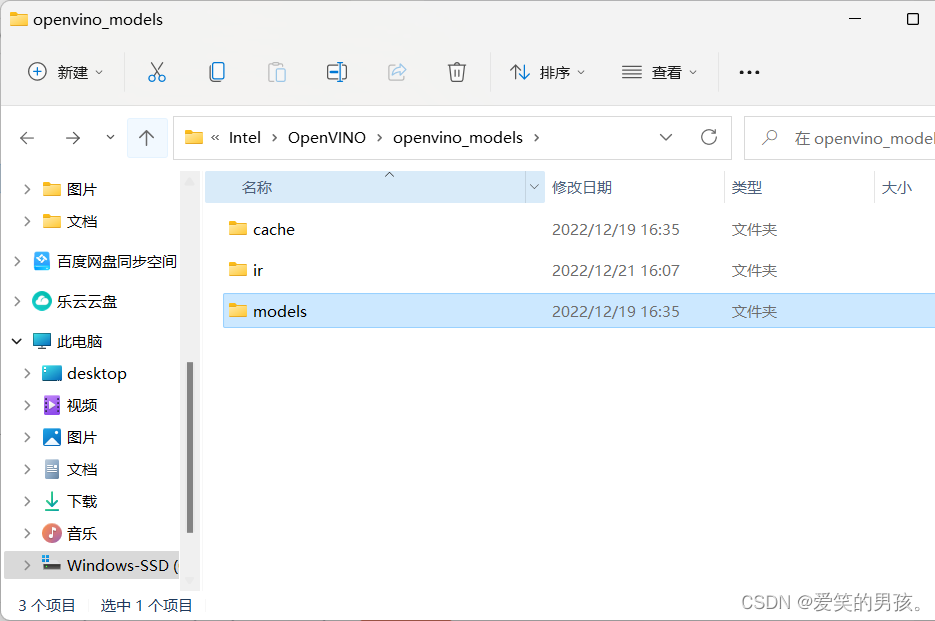 Windows OpenVino安装squeezenet1.1失败 —— 已解决
