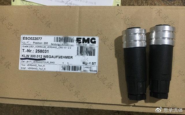 EMG位移傳感器KLW300.012