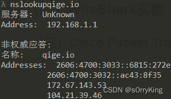 nslookup qige.io命令