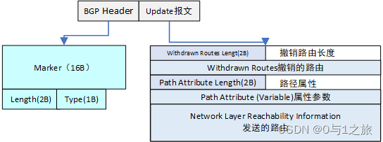 Update报文