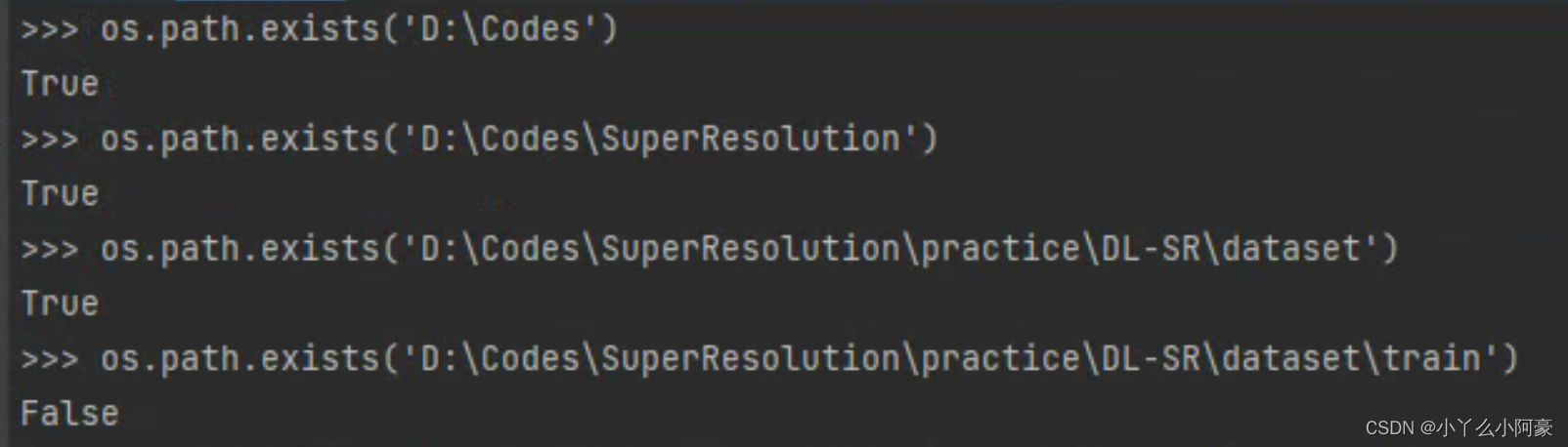 【Python】os.path.exists()的含义 及文件存在但os.path.exists()返回False的原因-CSDN博客