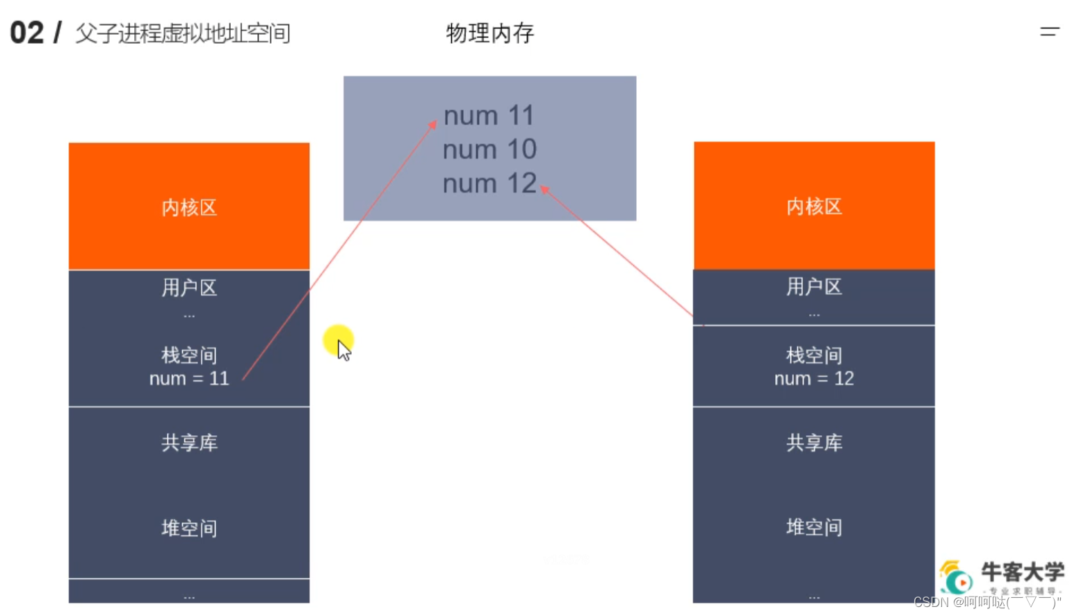 基于linux下的高并发服务器开发（第二章）- 2.4 父子进程虚拟地址空间情况