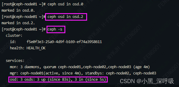 ceph部署踩坑——OSD服务无法启动