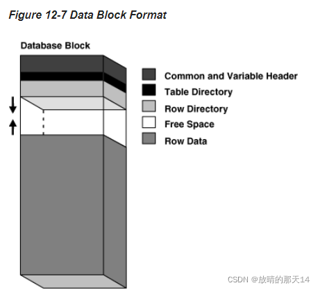 oracle官方文档中对块结构的描述