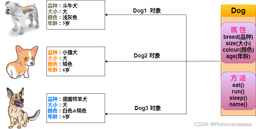 类和对象