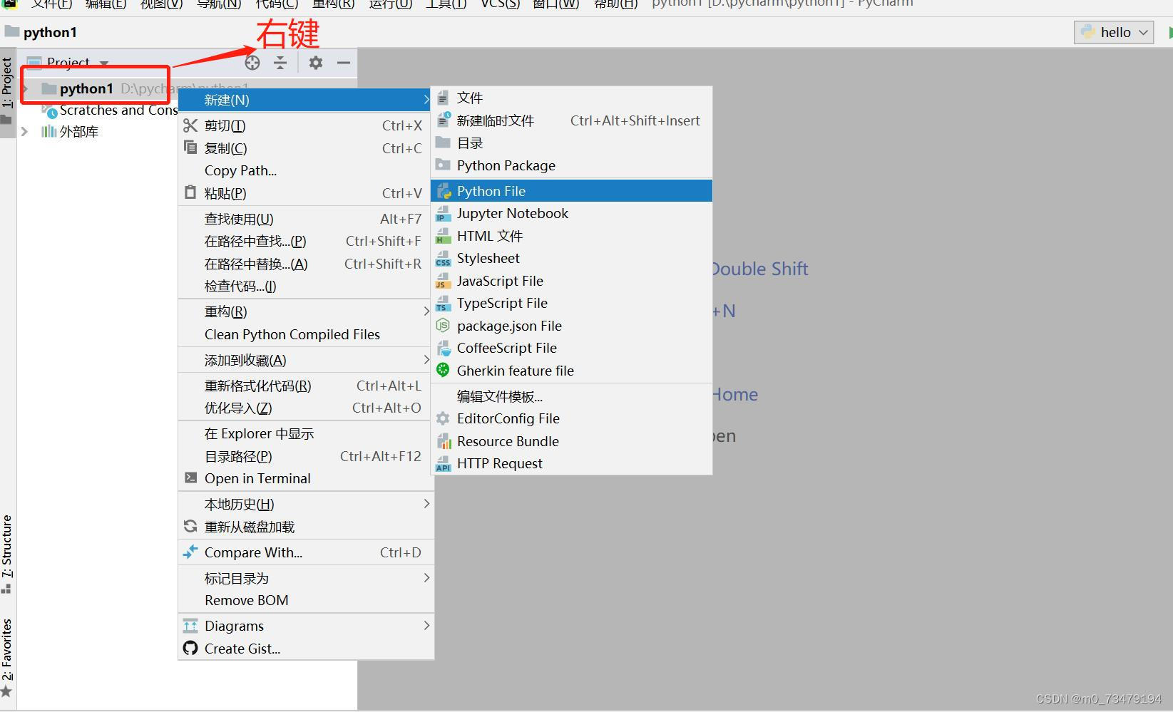 pycharm 软件详细使用教程，新手必看篇