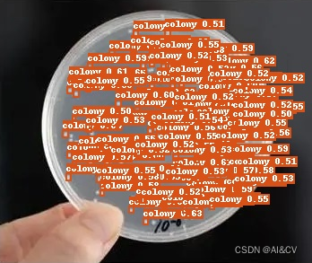基于PaddleDetection的菌落(colony)计数