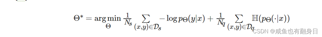 Θ∗=argminΘ1Ns∑(x,y)∈Ds−logpΘ(y|x)+1Nq∑(x,y)∈DqH(pΘ(⋅|x))