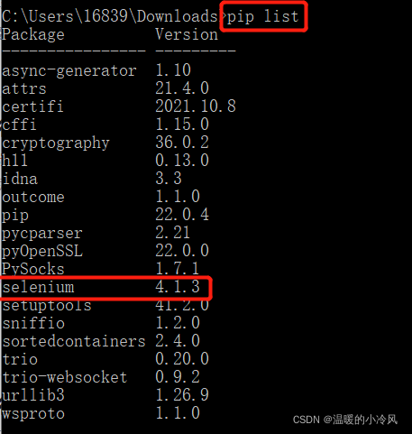 python中的 pip 和 requirements.txt 是干什么的_pip requirement-CSDN博客